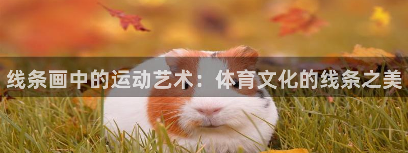 海南尊龙官网下载:线条画中的运动艺术:体育文化的线条之美