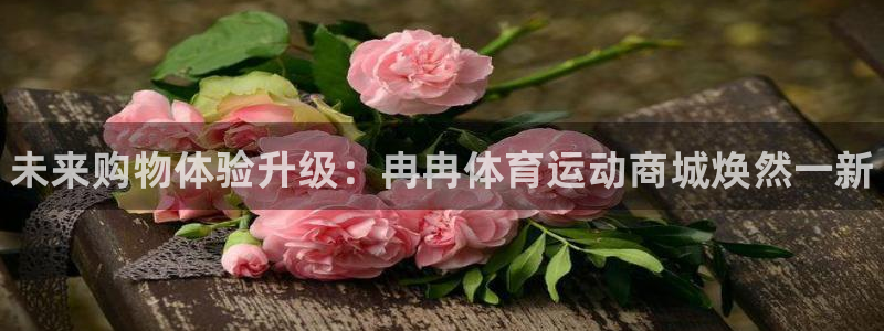 尊龙官方正版app集团官网网址:未来购物体验升级:冉冉体育运