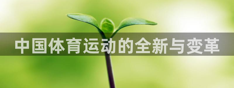 尊龙官网下载是干嘛的公司:中国体育运动的全新与变革