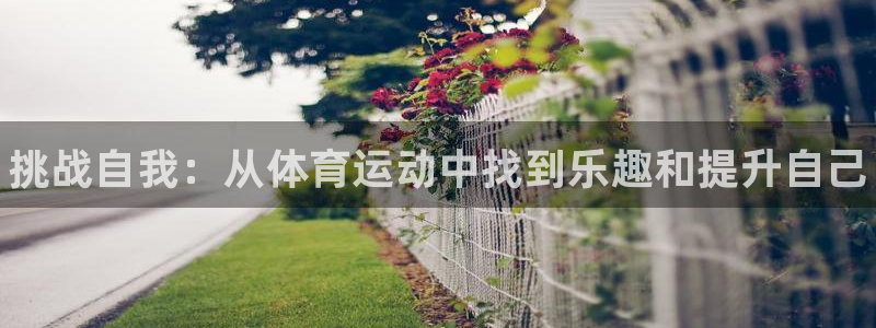 尊龙官方正版app集团E.ON:挑战自我:从体育运动中找到乐