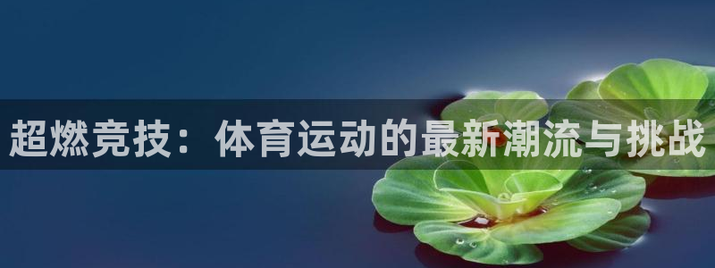 尊龙官方正版app集团官网网址:超燃竞技:体育运动的最新潮流