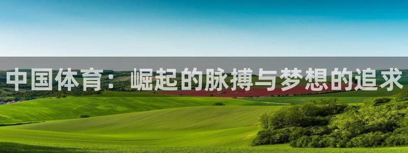 尊龙官网下载平台是正规平台吗:中国体育:崛起的脉搏与梦想的追