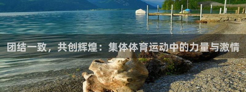 尊龙官方正版app娱乐代理怎么样:团结一致,共创辉煌:集体体