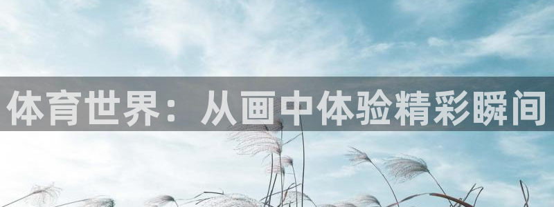 尊龙官网下载招商:体育世界:从画中体验精彩瞬间