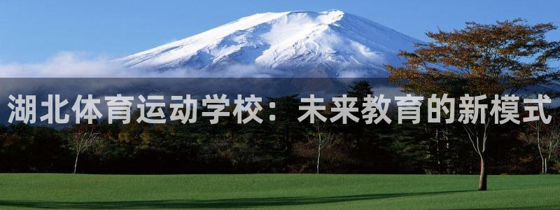 尊龙官方正版app五金厂:湖北体育运动学校:未来教育的新模式