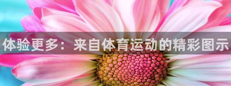 尊龙官网下载平台假的吗是真的吗:体验更多:来自体育运动的精彩