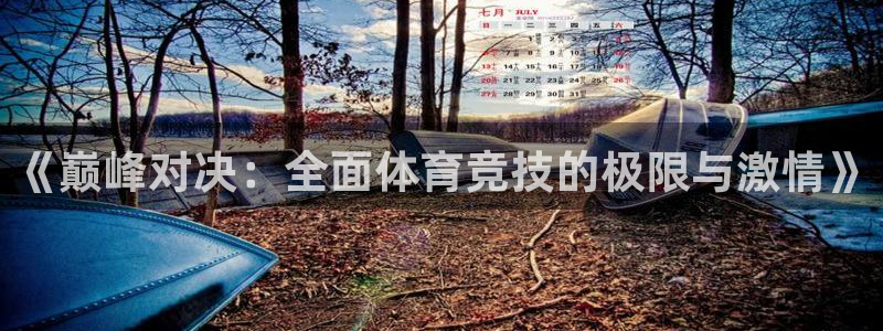 尊龙官网下载平台假的吗是真的吗:《巅峰对决:全面体育竞技的极